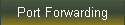 Port Forwarding